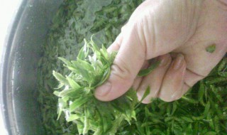 柳叶怎么吃好吃（柳叶怎么吃才好）