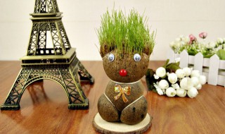 长草娃娃怎么种 草娃娃怎么种怎么养