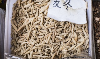 麦冬怎么吃最好 麦冬怎么吃功效最好