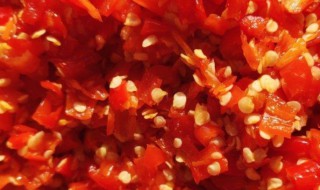 剁辣椒蒜蓉的做法大全（剁辣椒蒜蓉的做法大全图解）