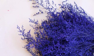 情人草怎么做干花保持颜色 情人草怎么做干花保持颜色好看