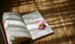 栈组词（橙组词）