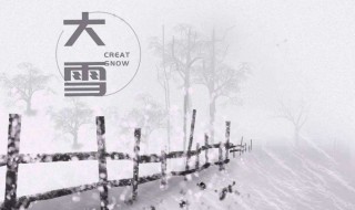 大雪节气会很冷吗（大雪节气是不是很冷）