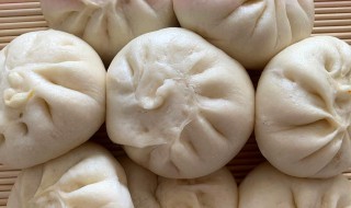 猪肉南瓜包子的做法（猪肉南瓜包子的做法视频）