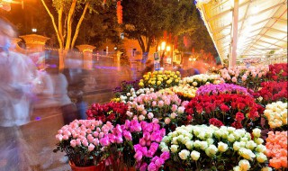 蓝雪花如何促花整个秋天有花看 蓝雪花秋冬季节如何养护修剪