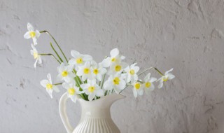 鲜花水里放什么可以延长花期 鲜花水里放84消毒液