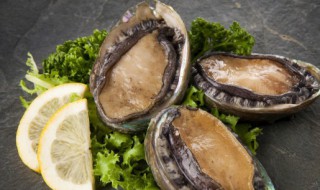 鲍鱼的常见吃法 鲍鱼的吃法和做法