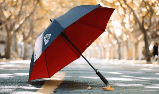 梦见雨伞丢了的吉凶（梦见雨伞丢了的吉凶解梦）