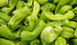 怎么腌青辣椒好吃 怎么腌青辣椒好吃又不坏