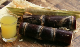 小龙虾和甘蔗能一起吃吗 小龙虾可以和甘蔗一起吃吗