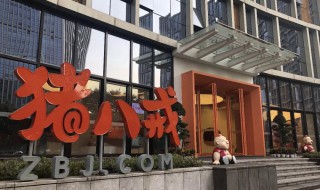 猪八戒网怎么接单（猪八戒网接单平台）