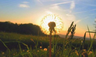 考到研究生发的朋友圈（考到研究生发的朋友圈文案）