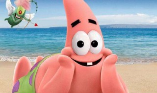 派大星是什么动物 派大星是什么动物图片