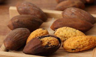 榧子的功效与作用是什么（榧有什么功效）