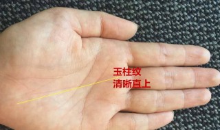 财运纹清晰的人财运会旺吗（财运纹在哪个位置）