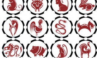 三个属相的孩子旺父母（儿子有出息看妈妈面相）