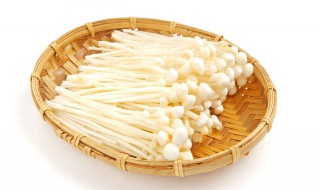 金针菇相克的食物（金针菇相克的食物有哪些）