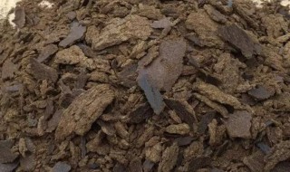 菜籽饼直接使用的方法 菜籽饼不发酵拌土直接做基肥