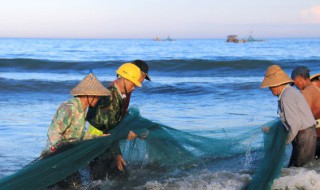 裸藻在水产养殖中的危害（裸藻在水产养殖中的危害咋处理）