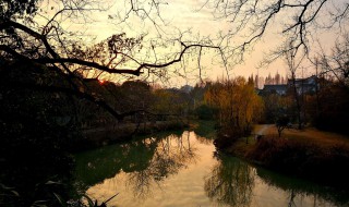 秋尽江南草未凋的意思 秋尽江南草未凋打一中药名