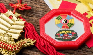 办公室植物摆放风水（办公室盆栽什么植物最好养）