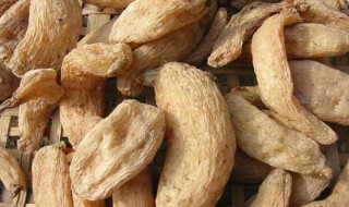 天麻怎么挑选(天麻怎么挑选上等货)