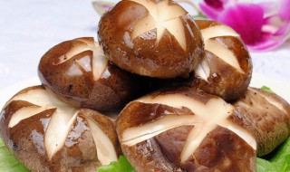 香菇相克的食物 香菇相克的食物香哈网