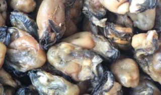 蚝豉的功效 蚝豉的功效和作用