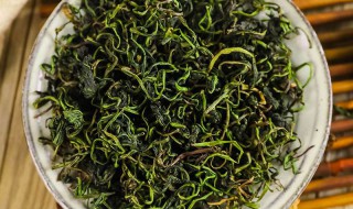 蒲公英和什么搭配好 蒲公英和什么搭配散结节