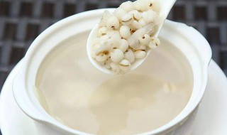 薏米和什么搭配好（薏米与什么搭配好）