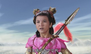 新西游记的演员表（新西游记的演员表介绍）