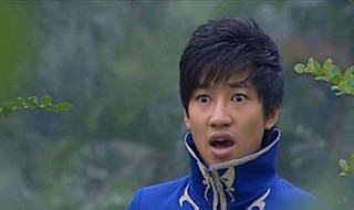 游乐王子扮演者（游乐王子扮演者现在长什么样）
