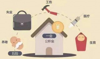 公司给交的五险一金交到哪里去了（公司给交的五险一金交到哪里去了呢）