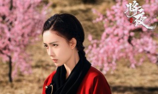 叶红鱼扮演者 将夜中叶红鱼扮演者