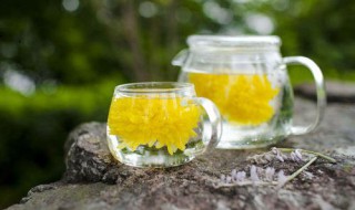 喝菊花茶失眠了怎么办（喝菊花茶失眠了怎么办呢）