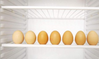 在冰箱冻过的鸡蛋可不可以孵出小鸡 在冰箱冻过的鸡蛋可不可以孵出小鸡仔