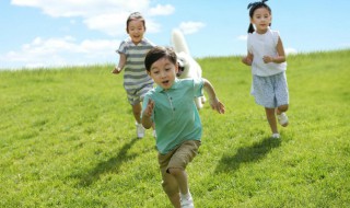 带木字旁的字男孩取名（带木字旁的字男孩取名虎宝宝）