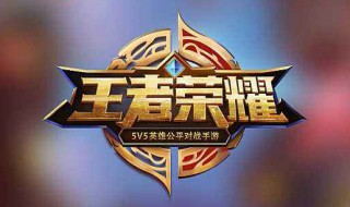 王者荣耀瓶子的羋月怎么玩 王者荣耀瓶子 矅