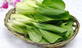 小白菜几月种最好（小白菜啥时候种）