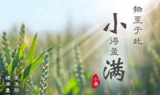 小满是什么意思啊（小满是什么意思啊 小满是什么季节）