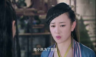 陆小凤传奇顺序（陆小凤传奇顺序在线观看）