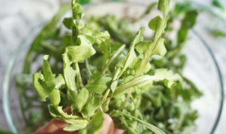三种不能吃的野菜（不能吃的野菜有哪几种）