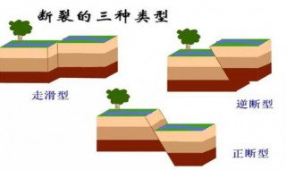 地震出现的原因是什么（地震出现的原因是什么）