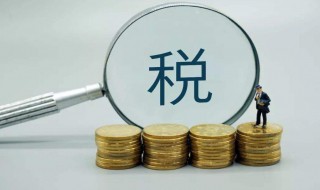 小规模纳税人增值税记在哪里（小规模纳税人增值税记在哪儿）