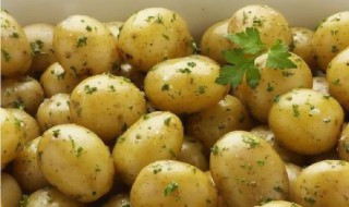土豆为啥不能吃（土豆为什么不能吃）
