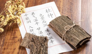 杜仲的功效及用途 杜仲的功效及用途杜仲泡水一次取多少适量