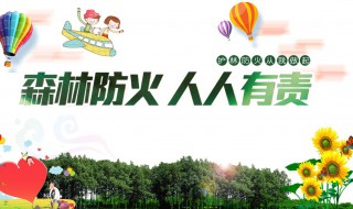 森林防火宣传资料 森林防火宣传资料图片