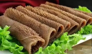 毛肚是什么动物身上的（白色毛肚是什么动物身上的）