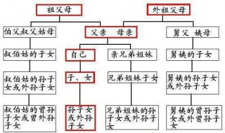 父亲的兄弟如何称呼 父亲的兄弟如何称呼 家庭关系