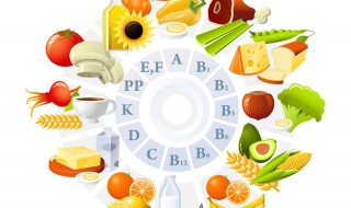 如何改善学生膳食营养（改善学生膳食的建议）